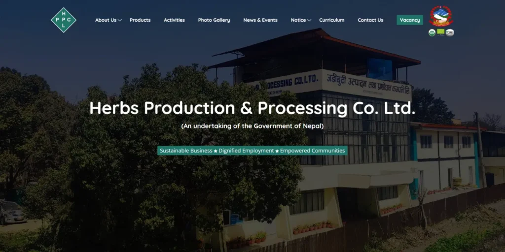 Pagoda Labs Website Designing Client